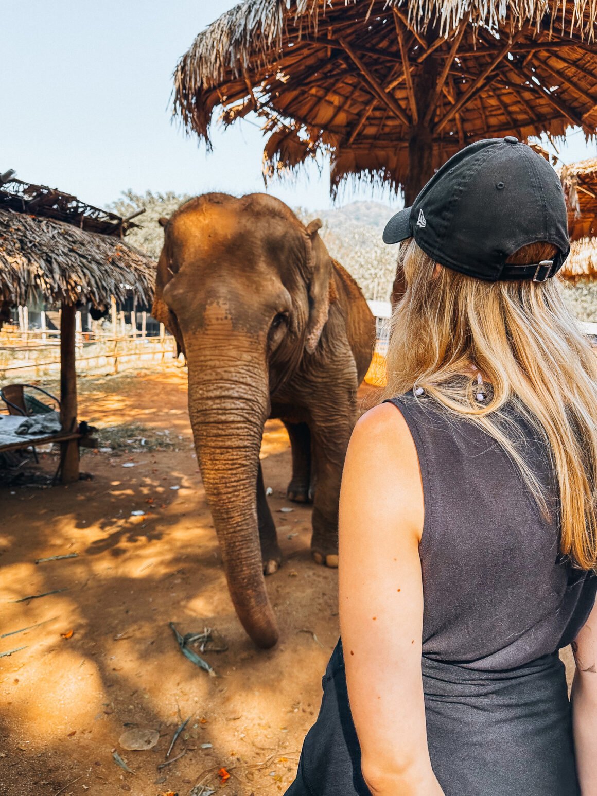 Elefant steht unter Sonnenschirm und eine Frau steht vor ihm