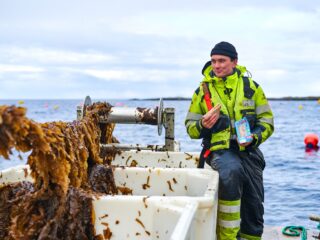Fischer mit veganem Fisch Sandwich auf dem Meer auf einem Boot mit Algen